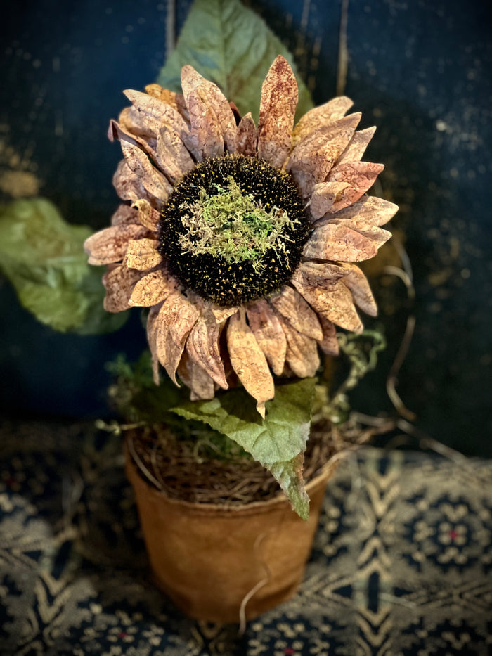 Primitive Potted "Mustard" Spiced Sunflower