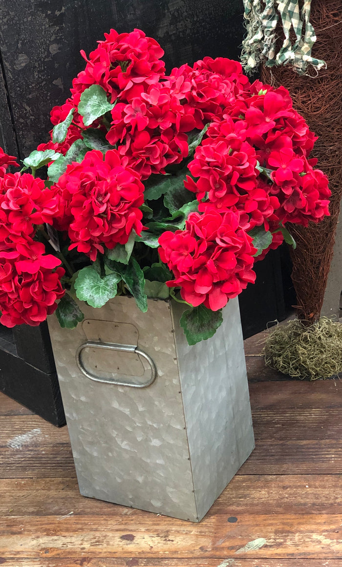 Red Geranium Bush