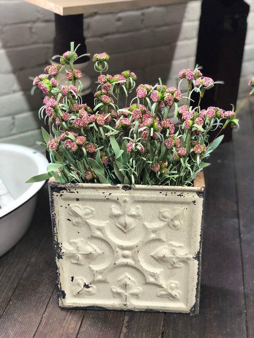 20” Pin Cushion Flower Stem