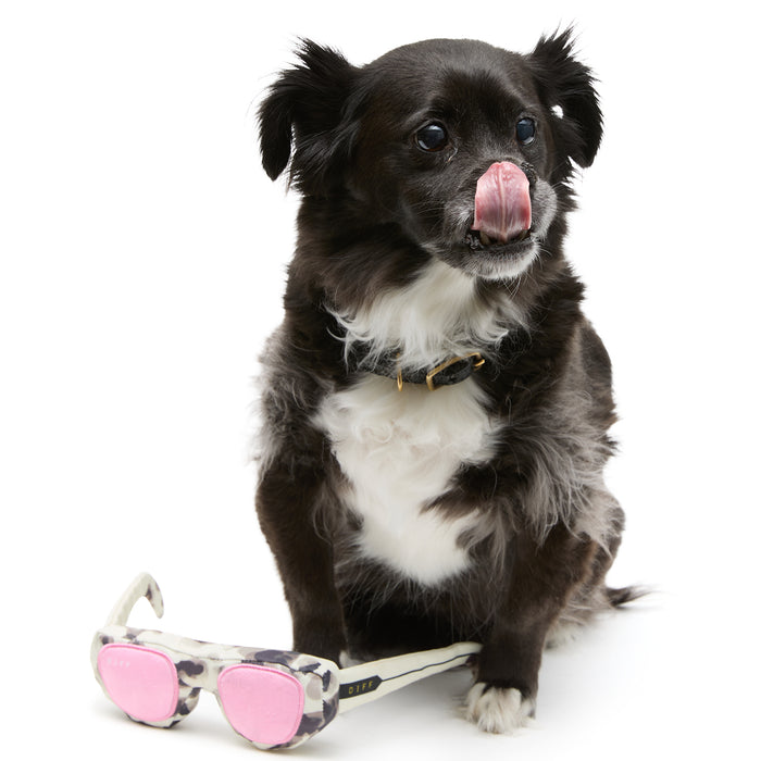 diff eyewear x pup box with puppy and pup box sunglasses toy