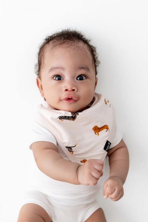 Baby wearing white bodysuit under Beige Bib with Dachshund print on a white background
