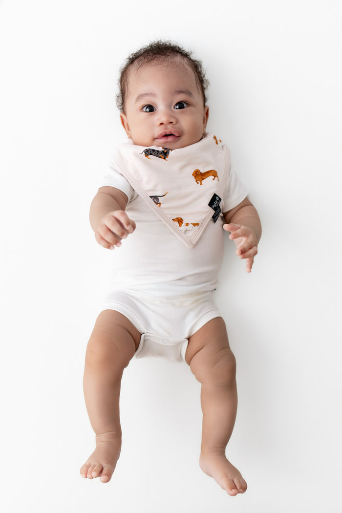 Baby wearing Beige Bib with Dachshund print over white bodysuit on a white background