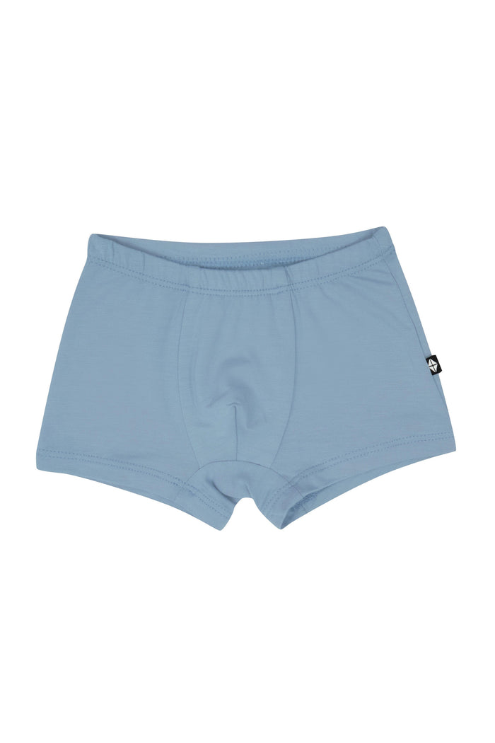 Product photo of the Briefs in Slate