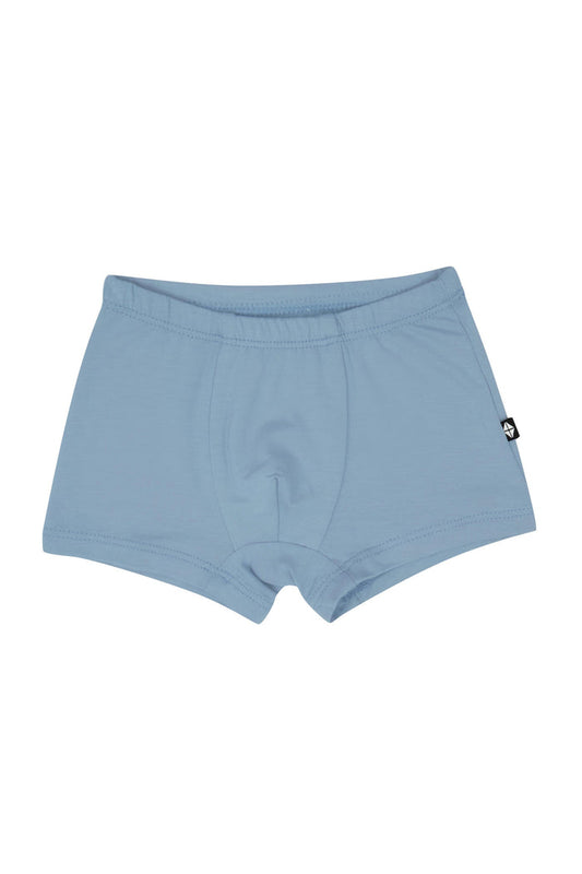Product photo of the Briefs in Slate