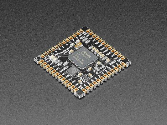 CircuitBrains Deluxe - CircuitPython-compatible SAMD51 Module [Discontinued] by Null Byte Labs - The Pi Hut