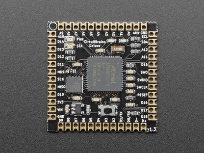 CircuitBrains Deluxe - CircuitPython-compatible SAMD51 Module [Discontinued] by Null Byte Labs - The Pi Hut