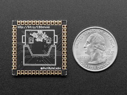 CircuitBrains Deluxe - CircuitPython-compatible SAMD51 Module [Discontinued] by Null Byte Labs - The Pi Hut