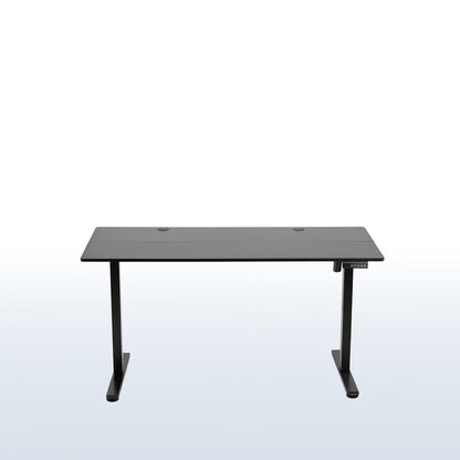 55" x 24" Electric Sit Stand Desk, Height Adjustable Workstation