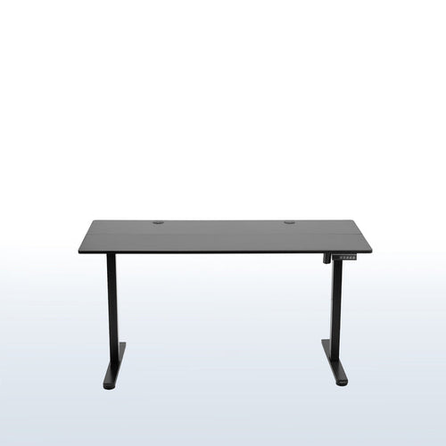 55" x 24" Electric Sit Stand Desk, Height Adjustable Workstation