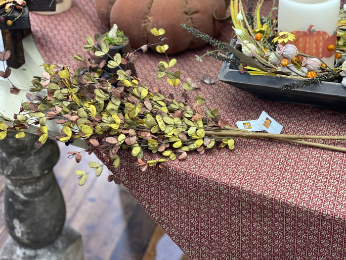 Fall Boxwood Stem