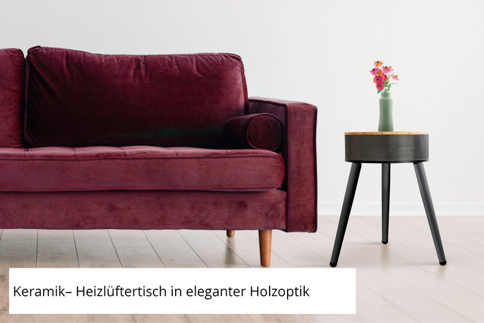 Unold Heizlüftertisch Henry mit Blume und rotes Sofa