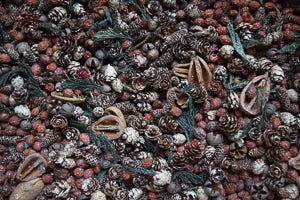 Herbal Star Candles Potpourri Olde Holiday Glow
