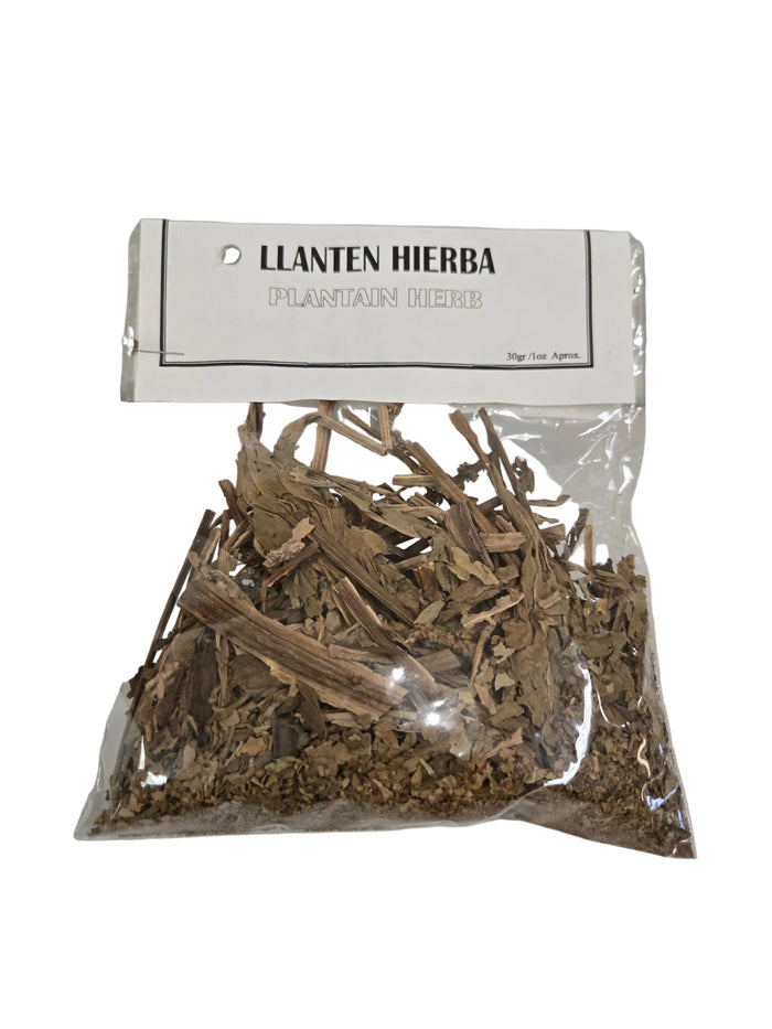 Llantén / Plantain
