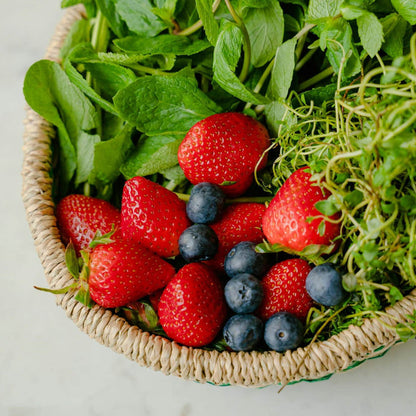 Mara Des Bois Strawberry Plants Soft Fruit