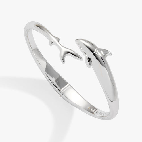Stainless Steel Silver