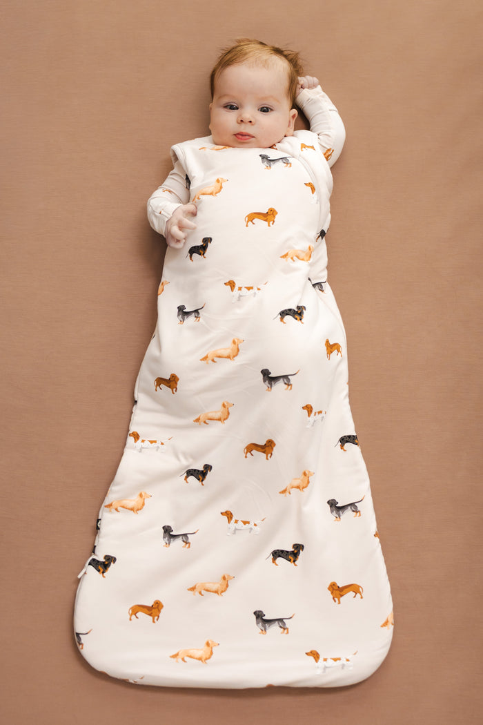 Baby in Beige Sleep Bag with Dachshund print on a brown background