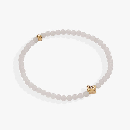 Stainless Steel Gold