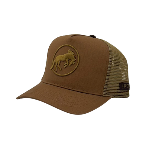 TAN LUNA LOGO BALL CAP