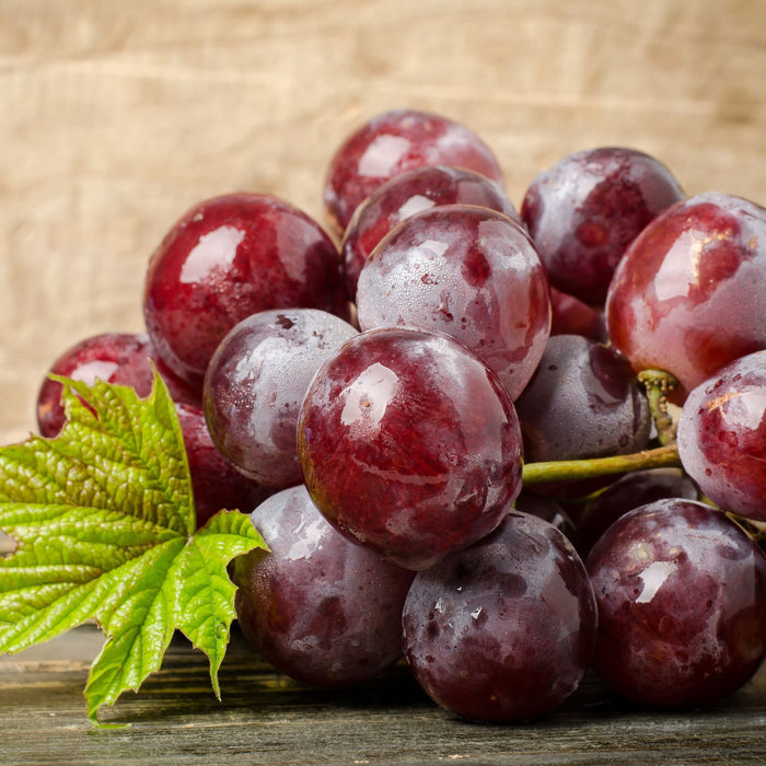 'Vanessa' Seedless Outdoor Grape Vine Soft Fruit